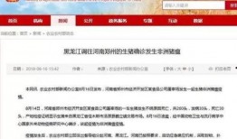 八村最新爆料新闻报道,揭秘背后惊人真相！”